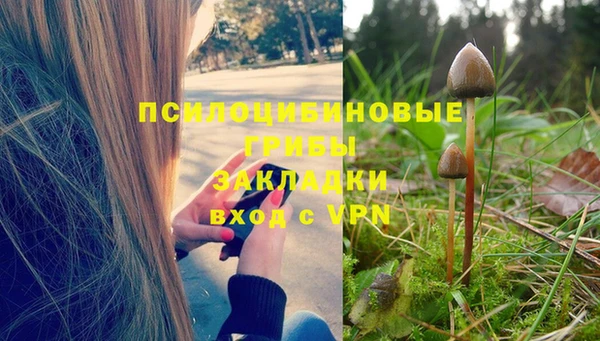спайс Армянск